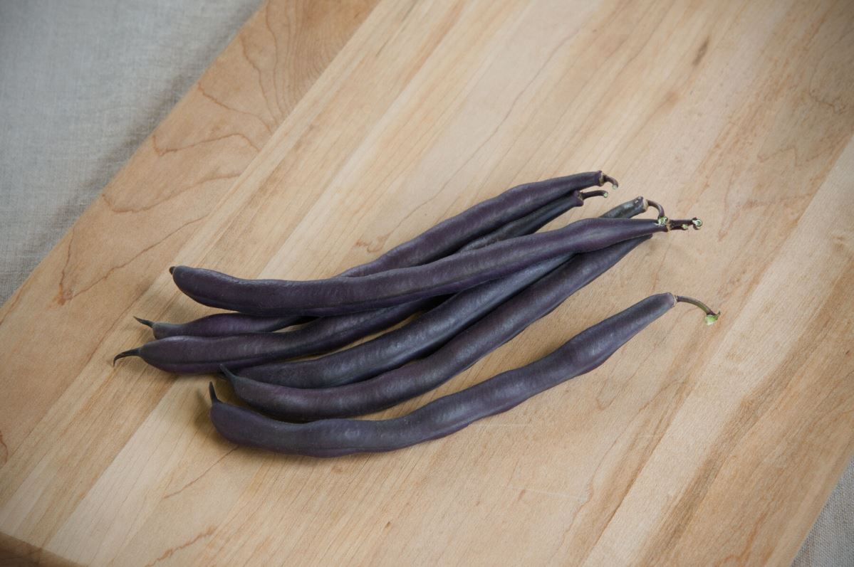 Royal Burgundy – Organic Purple Bean Seeds